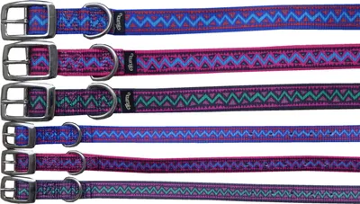 Produktbild von Hundehalsband Electra Choice aus Nylon 2,5 cm breit Halsband für Hunde  Halsband Hund in Razz & 21