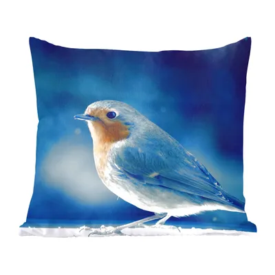 Produktbild von MuchoWow® Zierkissen Sofakissen Wohnzimmer Dekokissen 50x50 cm Rotkehlchen - Blau - Schnee - Komfort - Sofakissen