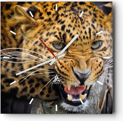 Produktbild von Wanduhr - Quadrat - Glasuhr - Leopard tier savanne afrika - 30x30cm - Schleichendes Uhrwerk - Lautlos - zum Aufhängen bereit - Dekoration Modern - Wanddekoration aus Glas - C3AC30x30-2728