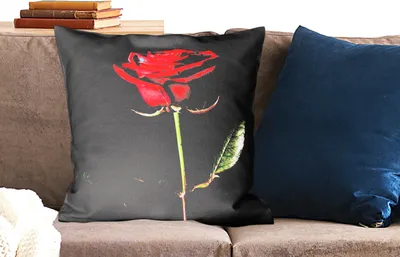 Produktbild von MuchoWow® Zierkissen Sofakissen Wohnzimmer Dekokissen 60x60 cm Eine rote Rose auf schwarzem Hintergrund - Sitzfläche - Foto Polster