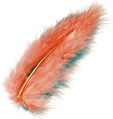 Produktbild von KNORR PRANDELL 216619207 Marabufedern ca. 10 cm apricot