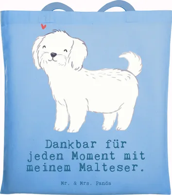 Produktbild von Mr. & Mrs. Panda Uni Tasche Malteser Moment - Sky Blue - Geschenk, Tote Bag, Schultasche, Jutebeutel, Laptoptasche