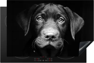 Produktbild von KitchenYeah© Herdabdeckplatte Hund - Leicht - Schwarz , 80x52cm, Küche Deko, Glaskeramikkochfeld Herdabdeckung, Abdeckplatte fùr Kochfeld
