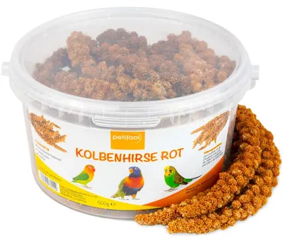 Productafbeelding van Petifool Kolbenhirse, 500g - Voeder voor alle siervogels - Vogelvoer
