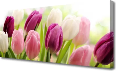 Imagen del producto de Cuadros decorativos de lienzo, 125x50 cm, impresión artística sobre lienzo, motivos de tulipanes y plantas