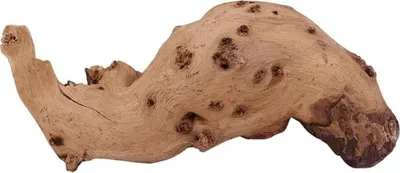 Produktbild von M Mopani Wurzel Nr.2724 Holz Deko Aquascaping
