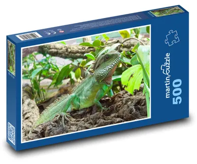 Produktbild von Puzzle 500 Leguan im tropischen Wald - martinpuzzle