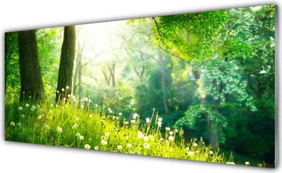 Produktbild von Acrylglasbilder 125x50 Wandbild Druck Wiese Natur