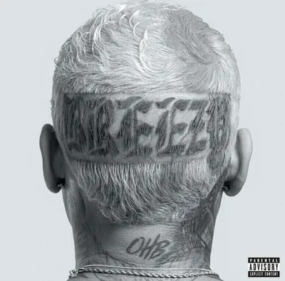 Produktbild von Chris Brown - Breezy (CD)