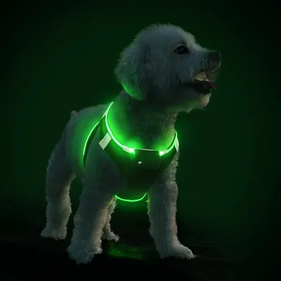 LED-Hundegeschirr, wiederaufladbar, wasserdicht, reflektierend, Gr. S (27-35 cm)
