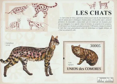Produktbild von Briefmarken Komoren 2009 Mi Block 487 (kompl. Ausg.) postfrisch Katzen