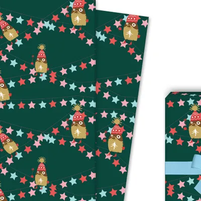 Produktbild von Das Weihnachts Geschenkpapier mit Pinguin und Sternen, grün - G4199, 32 x 48cm