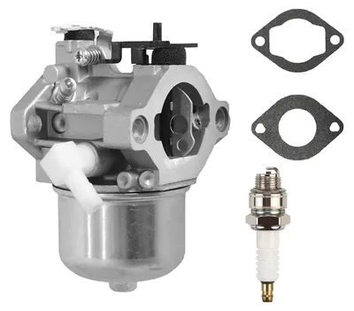 Immagine prodotto di Carburatore per tosaerba Briggs & Stratton, sostituisce il modello 699831