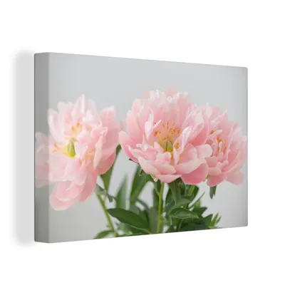 Obrázek produktu pro OneMillionCanvasses® Malba na plátně Nástěnná malba na plátně - Kytice růžových pivoněk - 150x100cm