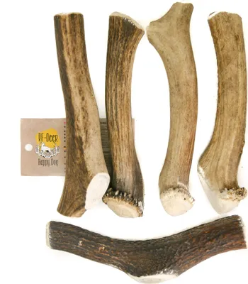 Immagine prodotto di RF-DEER SET di corna di cervo 5x XXL 805-1000g 19-21cm Corna naturali dure, eco-masticatore per cani, giocattolo da masticare sano, osso da masticare per piacere