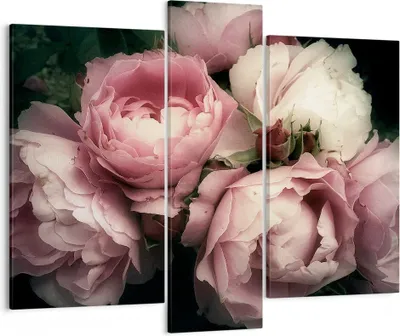 Produktbild von Bild auf Leinwand - Leinwandbild - Pfingstrose Blume - 95x80cm - Wand Bild - Wanddeko - Wandbilder - Leinwanddruck - Bilder - Kunstdruck - Wanddekoration - Leinwand bilder - Wandkunst - CB95x80-3930