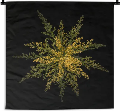 Produktbild von MuchoWow® Wandteppich Wandbehang Eine Goldrutenblüte auf schwarzem Hintergrund 120x120 cm Tapisserie Dekoration Wandtuch - Modern - Baumwollgewebe