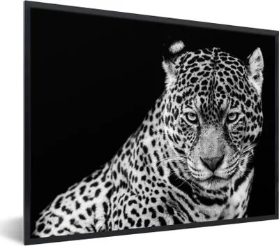 Produktbild von MuchoWow® Gerahmtes Poster Leopard - Tiere - Schwarz - Weiß - Porträt 80x60 cm - Poster mit Schwarzem Bilderrahmen Wandposter Rahmen Foto Bilder - Schwarzem - Mit Gestell
