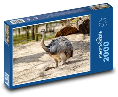 Zdjęcie produktu dla Puzzle 2000 Struś na wolności - martinpuzzle