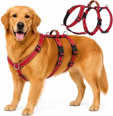 Productafbeelding van Veiligheidsuitrusting voor honden, met een ontwerp dat ontsnappen voorkomt, maat M, geschikt voor wandelingen