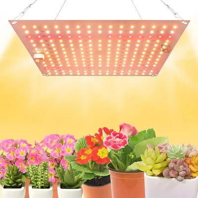 A grow light is shown suspended above a variety of potted plants, including succulents and flowering plants.