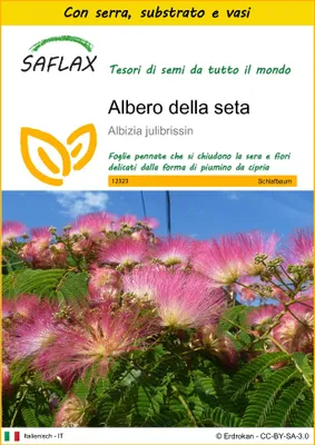 Immagine prodotto di SAFLAX Insieme di coltivazione - Albero della seta - 50 semi - Albizia