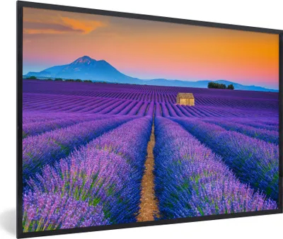 Produktbild von MuchoWow® Gerahmtes Poster Lavendel - Lila - Blumen 60x40 cm - Poster mit Schwarzem Bilderrahmen Wandposter Rahmen Foto Bilder - Printing - Wanddeko Schlafzimmer