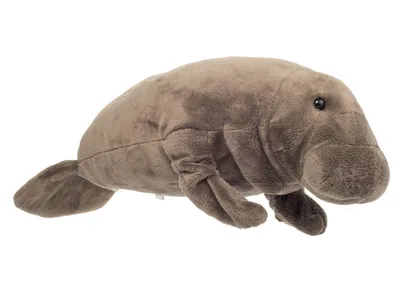 Immagine prodotto di Teddy Hermann Seekuh, Kuscheltier, Stofftier, Plüschtier, 40 cm, 901563