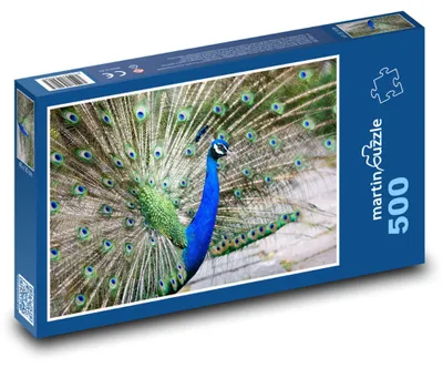 Obrázek produktu pro martinpuzzle - Puzzle 500 - Páv korunkatý