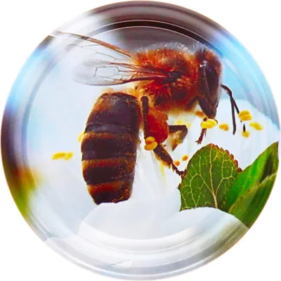 Produktbild von 82er Twist Off Deckel Biene auf Kirschblüte im praktischen 60er Pack