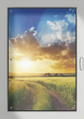 Produktbild von Wallario Lichtschutzbild, Dekorativer Sichtschutz Sonnenschutz 76 x 115 cm mit Motiv: Feldweg in den Sonnenuntergang - Verdunklung ohne Bohren