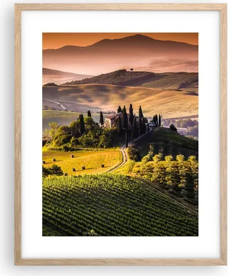 Produktbild von Gerahmtes Poster - Rahmen in heller Eiche - Landwirtschaft Bauernhof Toskana Weinberg - 40x50 cm - Wand Bild - Wanddeko - Wandbilder - Wandposter - Bilderrahmen - Bilder - Kunstdruck - P2NPA40x50-2465