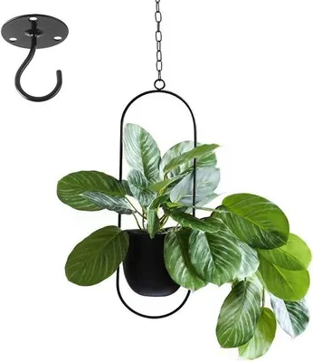 Image de Pot suspendu en métal noir pour plantes d'intérieur et plantes aériennes