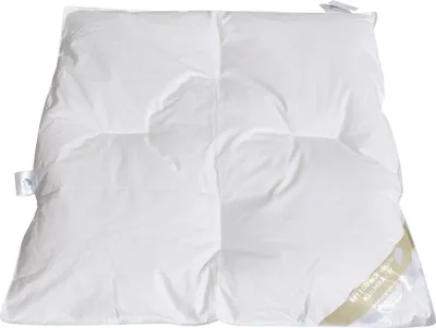 Produktbild von Betten Hofmann Franken Baby Ganzjahres Daunendecke 80x80 cm Steppbett 100% Daunen
