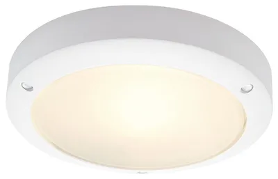 Immagine prodotto di SLV Bulan 229071 Outdoor wall light Energy-saving bulb, LED (monochrome) E14 60 W White