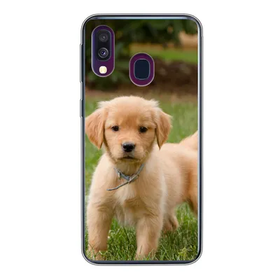 Produktbild von MuchoWow® Handyhülle Schutzhülle Hülle für Samsung Galaxy A40 Golden Retriever Welpe im grünen Gras Silikon Softcase Handy Hülle - Handy-Tasche