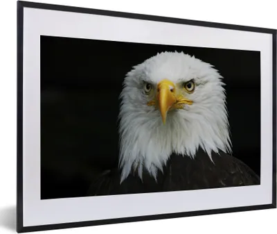 Produktbild von MuchoWow® MuchoWow® Gerahmtes Poster Adler - Schwarz - Weiß 60x40 cm - Poster mit zchwarzem Bilderrahmen - Schlafzimmer - Plakat in Rahmen - Drucken