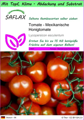 Produktbild von SAFLAX Garden to go - Tomate - Mexikanische Honigtomate - Lycopersicon esculentum - 10 Samen - Mit Topf, Klima - Deckel und Anzuchtsubstrat