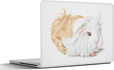 Produktbild von MuchoWow® Laptop Aufkleber Sticker Cover Eine Illustration eines langhaarigen Meerschweinchens 30x22 cm - Laptop-Sticker