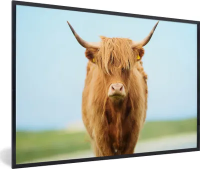 Produktbild von MuchoWow® Gerahmtes Poster Schottischer Highlander - Haare - Gras 60x40 cm - Poster mit Schwarzem Bilderrahmen Wandposter Rahmen Foto Bilder - Printing - Wanddeko Schlafzimmer
