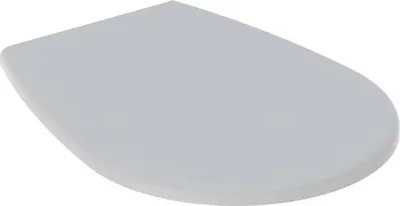A light gray toilet seat with a lid, shown from a diagonal top-down perspective on a white background.