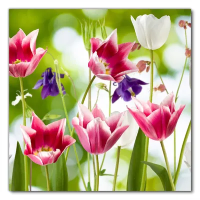 Produktbild von Wallario selbstklebende Möbelfolie/ Tischdecke für Innen und Außen, Größe: 80 x 80 cm - Blühende Blumen im Frühling in pink und weiß