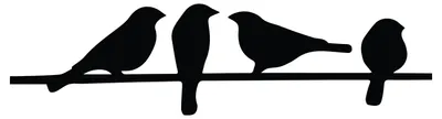 Metall-Wanddekoration Vögel auf Ast, 79x21 cm, Aluminium, Schwarz