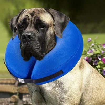 Productafbeelding van Famanu beschermkraag voor honden en katten - Zachte, kegelvormige herstelkraag - Design kraag