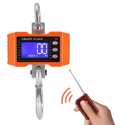 Kranwaage 1000 kg, Industrie-Hängewaage mit Fernbedienung, LCD