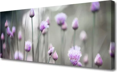 Produktbild von Tulup Leinwand-Bilder 125x50 Wandbild Canvas Kunstdruck Blumen Pflanzen