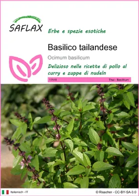Immagine prodotto di SAFLAX  - Basilico tailandese - 200 semi - Ocimum