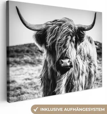 Zdjęcie produktu dla MuchoWow® - Obraz na płótnie - Szkocki góral - Natura - Krowa - Czarny - Biały, obraz na ścianę, dekoracja ścienna obrazy do salonu, 120x90cm