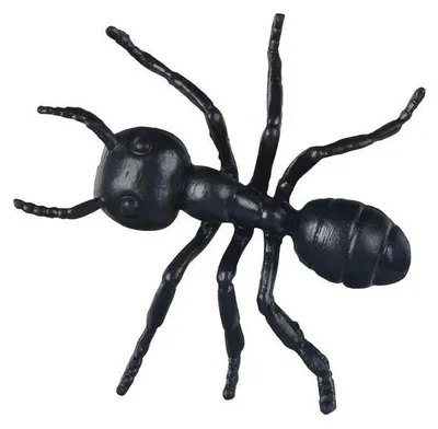 Produktbild von Plastikameisen schwarz 5 cm – 12 Stück