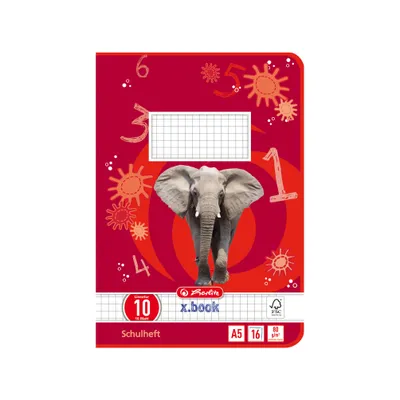 Image de Herlitz cahier scolaire x.book DIN A5 linéature 10 / quadrillé 16 feuilles (1 cahier)